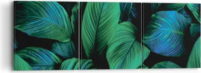 Produktbild von Bild auf Leinwand - Leinwandbild - 3 Teile - Blätter Pflanzen Exotik - 90x30cm - Wand Bild - Wanddeko - Wandbilder - Leinwanddruck - Bilder - Wanddekoration - Leinwand bilder - Wandbild - CA90x30-5066