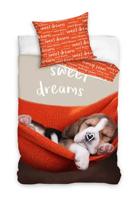 Produktbild von Dreamee Bettbezug Sweet Dreams 140 x 200 cm