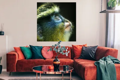 Produktbild von MuchoWow® Poster Affe - Gelb - Blau 100x100 cm - Babyzimmer