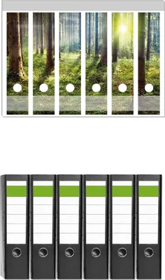 Produktbild von Wallario 6 Stück breite Ordner inkl. Klebeetiketten mit Motive Sonnenuntergang im Wald zwischen den Bäumen -  Set mit Rückenschildern / Ordnerrücken Stickern