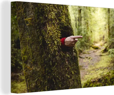 Produktbild von OneMillionCanvasses® - Leinwandbilder - 140x90 cm, Die Orientierungshilfe vom Baum, Wandbilder Kunstdruck Wanddekoration - Foto auf Leinwand - Gemälde auf Holzrahmen