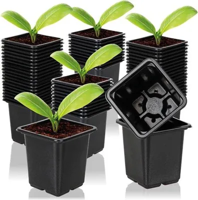 Image de Kweekpots pour plantes - Set économique - 60 pièces - 7,5x8 cm