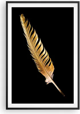 Produktbild von Gerahmtes Poster - Schwarzer Rahmen - Golden Feder Schwarz - 61x91,5 cm - Wand Bild - Wanddeko - Wandbilder - Kunstposter - Wandposter - Bilderrahmen - Bilder - Kunstdruck - P2BPA61x91-4887
