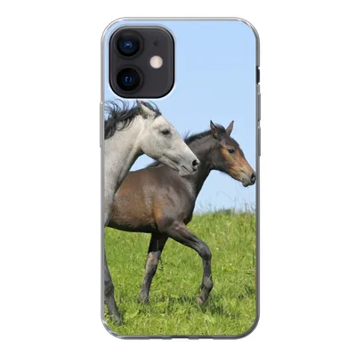Produktbild von MuchoWow® Handyhülle Schutzhülle Hülle für iPhone 12 Pferde - Tiere - Gras Silikon Softcase Handy Hülle - Schutzhülle
