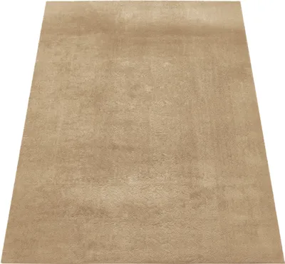 Image de Tapis lavable Salon Tapis à poils courts Style moderne Unicolore Beige Dimension 120x160 cm