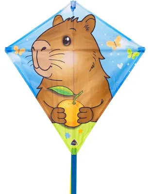 Productafbeelding van Kinderdrachen HQ Eddy Capybara, model 100065, bruin, 68 x 68 cm