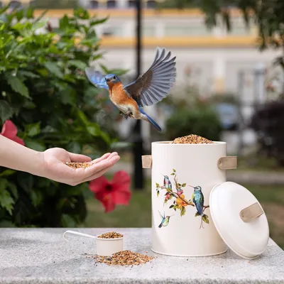 Produktbild von Navaris Tierfutter Aufbewahrung Vogel Design - 4,9L Volumen - Behälter für Vogelfutter - Hunde Trockenfutter Dose - Futterbox Hundefutter Katzenfutter