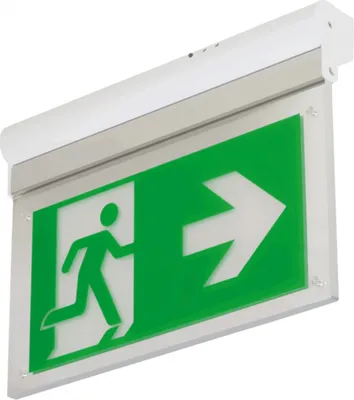 Produktbild von Notleuchte L- Lux Standard ECO LED | 307x232 mm, 1 Stk