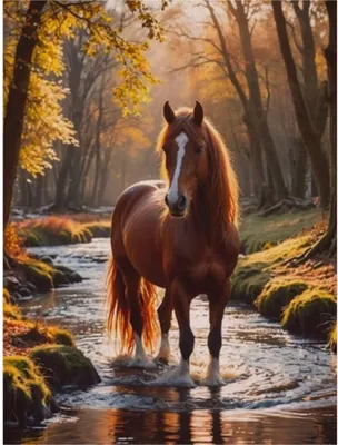 Immagine prodotto di NORIMPEX Quadro diamantato Cavallo nel ruscello della foresta 30x40cm