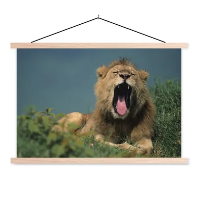 Produktbild von MuchoWow® Textilposter Löwe - Wildes Tier - Savanne 60x40 cm mit holzfarbenen Rahmen - Bilder