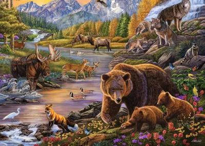 Produktbild von Ravensburger Wilderness, 500 Stück(e), Tiere, 12 Jahr(e)