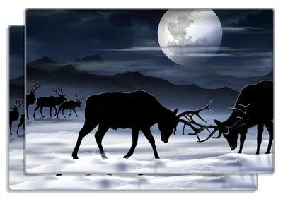 Produktbild von Wallario Frühstücksbrettchen 2er Set aus Glas, je 20 x 30 cm, mit rutschfesten Füßen, Motiv Elch im Schnee bei Mondschein - Silhouette am Abend