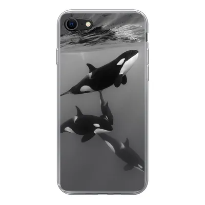 Produktbild von MuchoWow® Handyhülle Schutzhülle Hülle für iPhone SE 2020 Orca - Wasser - Schwarz - Weiß Silikon Softcase Handy Hülle - Kartenbesitzer