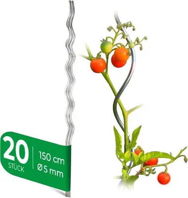Produktbild von Tomatenstangen verzinkt 150 cm Spiraalstützen für Tomaten und Kletterpflanzen