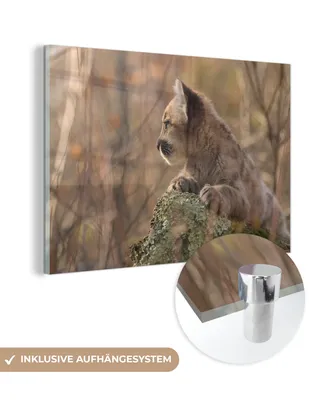 Obrázok produktu pre MuchoWow® Sklenené obrazy - Obrázky na stenu - Fotka na skle Mláďa pumy 120x80 cm Nástenná dekorácia zo skla - Akrylový sklenený obraz - Akrylové obrázky - Ilustrácie