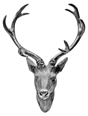 Produktbild von Hirschgeweih Hirschkopf 10-Ender in Silber, Metall-Optik 51 x 60 cm, Figur Skulptur Deko