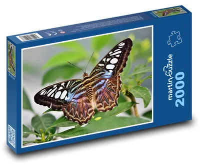 Obrázek produktu pro Puzzle 2000 Barevný motýl na listu - martinpuzzle