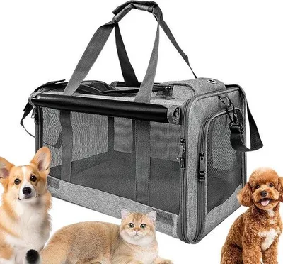 Produktbild von Kleine Transportbox für Katzen – Reisekorb für Haustiere – Sicheres Reisen – Atmungsaktiv und zusammenklappbar – 46 x 30 x 30 cm – Grau