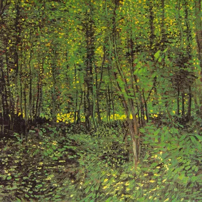 Obrázek produktu pro Vincent Van Gogh Art Print Obraz - Stromy a podrost, 1887 (100 x 100 cm)