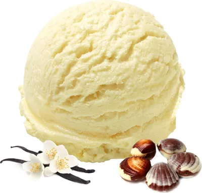 Image de Praliné belge vanille en poudre 333 g