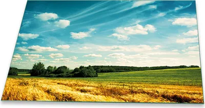Produktbild von Herdabdeckplatte Glaskeramikkochfeld-Abdeckung Spritzschutz Glas Universal 80x52 Natur Bunt