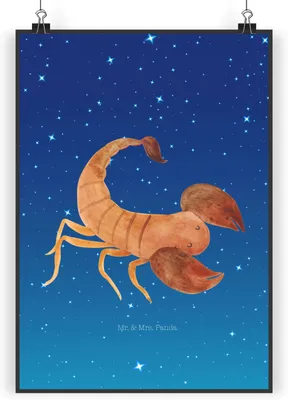 Produktbild von Mr. & Mrs. Panda Bild Sternzeichen Skorpion DIN A4 - Sternenhimmel Blau - Geschenk, drucke, Wandbild, Oktober, Geburtstag, wanddeko, November, Wandschmuck, Skorpione