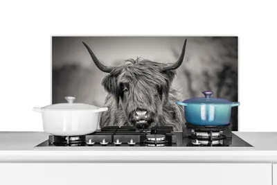 Produktbild von KitchenYeah®  Spritzschutz Küche - Küchenrückwand - Wandschutz für Herd und Spüle - Schottisches Hochlandrind - Porträt - Schwarz und Weiß 90x45 - Alu-Dibond (Alternative zum Spritzschutz aus Glas) -