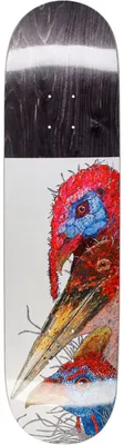 GX1000 Skateboard Deck Birds - multicolored