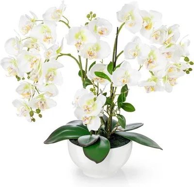 Productafbeelding van Famanu Kunstorchidee, groot (56 cm), in een glanzende keramische pot - wit