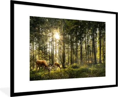Produktbild von MuchoWow® MuchoWow® Gerahmtes Poster Hirsche - Natur - Wald 90x60 cm - Poster mit zchwarzem Bilderrahmen - Wanddekoration - Fotos