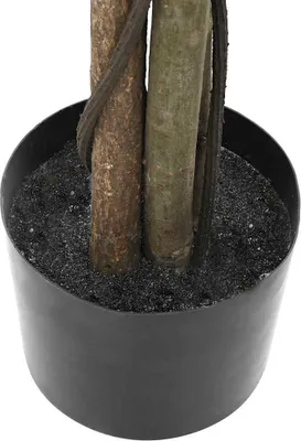Immagine prodotto di Pianta di Ficus Artificiale 2016 Foglie 300 cm Verde