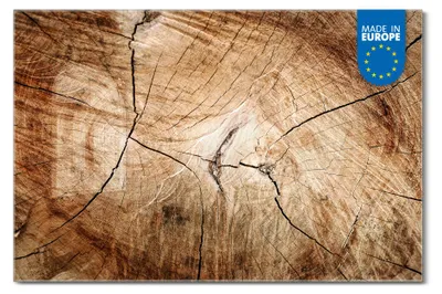 Produktbild von banjado Magnettafel aus Glas, beschreibbar, 60x40cm groß, ESG Sicherheitsglas mit Motiv Getrocknetes Holz [MTGQ1 13633]