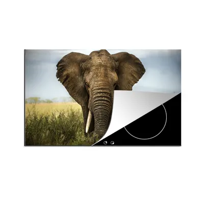 Produktbild von KitchenYeah© Herdabdeckplatte Elefant - Natur - Gras - Tiere - Landschaft , 89x51cm, Küche Deko, Glaskeramikkochfeld Herdabdeckung, Abdeckplatte fùr Kochfeld