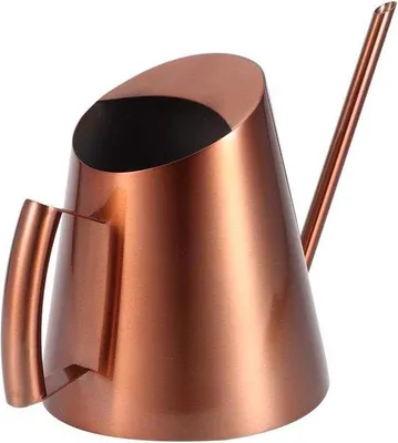 Immagine prodotto di Mini annaffiatoio in acciaio inossidabile con beccuccio lungo, in un moderno design color oro rosa.
