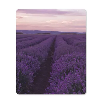 Produktbild von MuchoWow® Mauspad Mousepad Lavendel - Lila - Blumen - Natur 19x23 cm - Mousepads - Maus Mat - Pad - Mausunterlage - Mauspads - Spielen