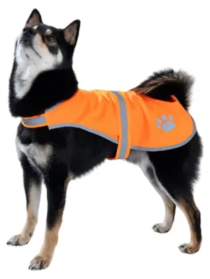 Image de INF Gilet de sécurité réfléchissant pour chien - Anti-perte, promenade nocturne Orange XL