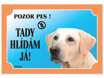 Imagen del producto de Busco: Labrador retriever, color claro, 1 unidad