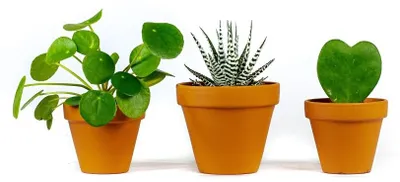 Produktbild von Gartengeräte-Sets für Kinder