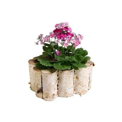 Obrázek produktu pro Dřevěný truhlík z břízy 20 cm