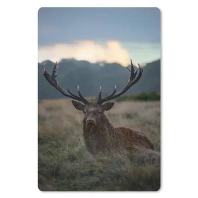 Produktbild von MuchoWow® Mauspad Mousepad Hirsch - Wiese - Geweih 40x60 cm - Mousepads - Maus Mat - Pad - Mausunterlage - Schreibtisch Accesoire