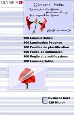 Produktbild von OLYMPIA Laminierfolie, Visitenkartengröße, 125 Mikron, 100 Stück