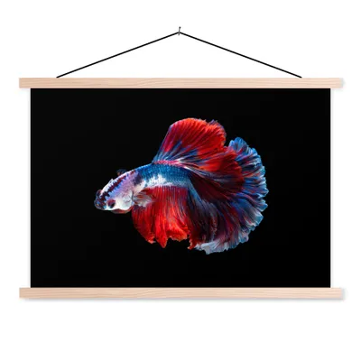 Produktbild von MuchoWow® Textilposter Fisch - Schwanz - Schwarz 150x100 cm mit holzfarbenen Rahmen - Posters