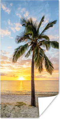 Produktbild von MuchoWow® Poster Strand - Palme - Sonnenuntergang 20x40 cm - Plakat - Foto