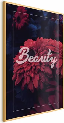 Produktbild von Posterpapier Poster - Beauty 29.7x42 cm Text b-C-0283-ao-a