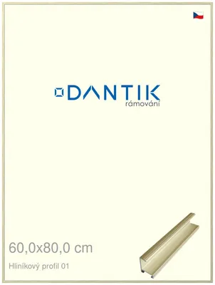 Zdjęcie produktu dla Ramka DANTIK 60x80 | Profil ALU 7001 złoty błyszczący alternatywa (Plexi Clear)