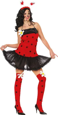 Produktbild von Damen Marienkäfer Kostüm (Kleid und Strümpfe) Größe: 36