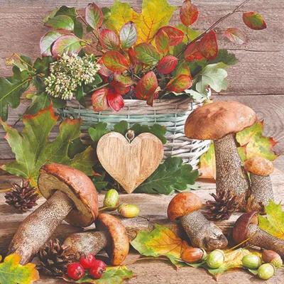 Image de Serviettes de table Lunch - Serviettes de table Lunch - Format : 33 x 33 cm - 3 plis - 20
