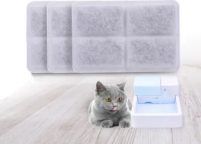 A gray cat is lying on a wooden floor next to a white pet water fountain and three charcoal water filters.