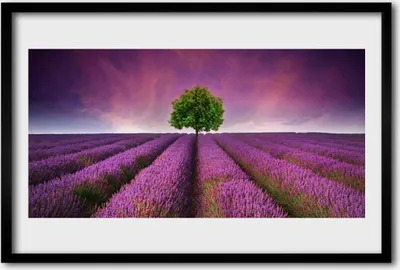 Produktbild von Bild 60x40 MDF-Rahmen Wandkunst Baum Wiese Natur