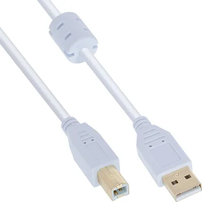 Produktbild von InLine USB 2.0 Kabel, A an B, weiß / gold, mit Ferritkern, 5m, 5 m, USB A, USB B, USB 2.0, Stecker/Stecker, Weiß